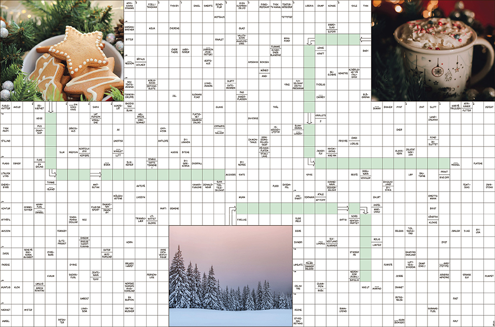 Julekryssord dobbel tabloid 25